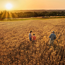 What we do to get better crops