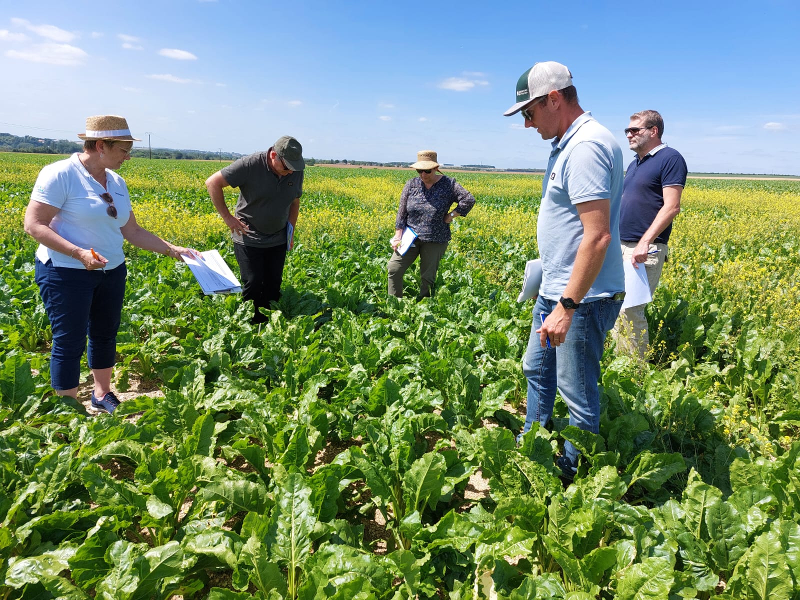 Acquisition of Phyteurop SA distribution assets