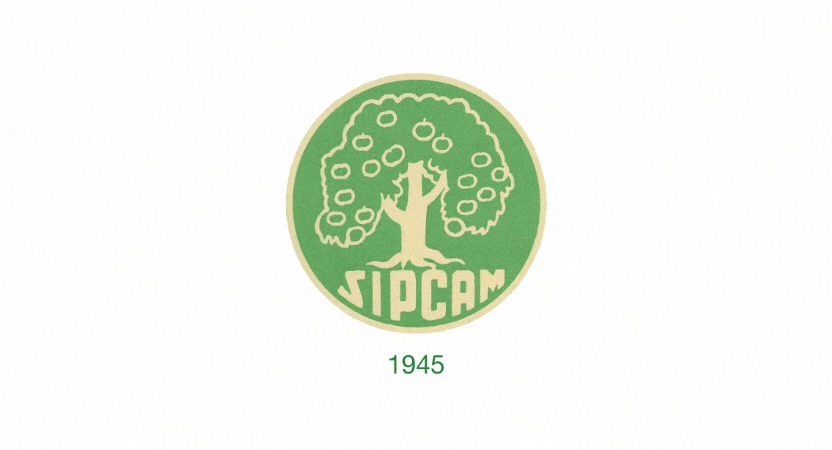 # The Logo