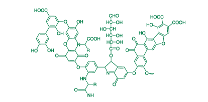 Leonardite (BLACKJAK<sup>®</sup>)